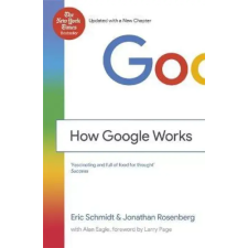 Voiz Google - Így vezetünk mi - Rövidített könyv egyéb e-könyv