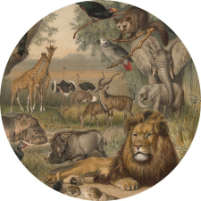Wallart Europe B.V. Animals of Africa - Afrika állatai tapéta tapéta, díszléc és más dekoráció