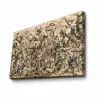  Wallity Decorative Canvas Painting Multicolor 70100FAMOUSART-009