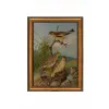  Wallity Decorative Framed Canvas Painting Multicolor ATCRCVCNVSMDL19 - 4060