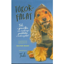 Waltner Magdi WALTNER MAGDI - TUKORFALAT gyermek- és ifjúsági könyv