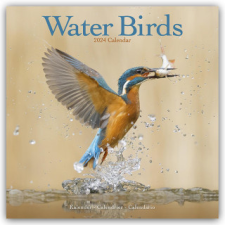  Waterbirds Calendar 2024  Square Birds Wall Calendar - 16 Month naptár, kalendárium