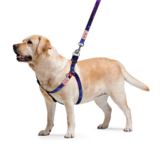 WAU DOG WAUDOG harness NASA21 - hám (QR kódos, NASA21 dizájn, müa.csatt) kutyák részére (60-90cm/25mm) L nyakörv, póráz, hám kutyáknak
