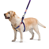 WAU DOG WAUDOG harness NASA21 - hám (QR kódos, NASA21 dizájn, müa.csatt) kutyák részére (60-90cm/25mm) S