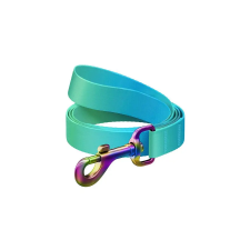 WAUDOG gradient nylon dog leash, 15mm wide, 122cm long, blue nyakörv, póráz, hám kutyáknak