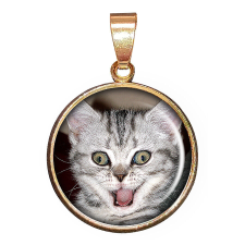 Webmall cicás – medál lánccal vagy kulcstartóval medál