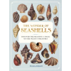 WELLFLEET WONDER OF SEASHELLS – WELLFLEET