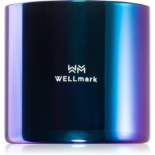 Wellmark Better Silk illatgyertya 1 db gyertya