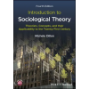 Wiley-Blackwell Introduction to Sociological Theory | Michele Dillon