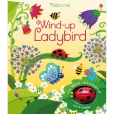  Wind-Up Ladybird – Fiona Watt idegen nyelvű könyv