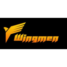 WingMen (Digitális kulcs - PC) videójáték