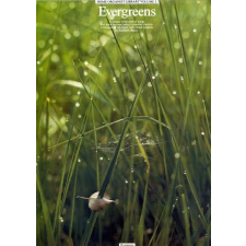 Wise Evergreens művészet