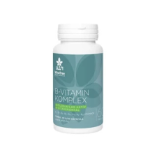 Wise Tree Kft. WTN Metilmentes B12-vitamin komplex 60 db vitamin és táplálékkiegészítő