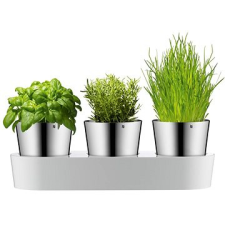 WMF 641306040 beltéri fűszerkert konyhai eszköz