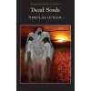 Wordsworth Editions Dead Souls | Nikolai Gogol