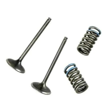 WOSSNER WÖSSNER Kipufogószelep Acél - Kawasaki KX450F WOSSNER Motor alkatrészek Membránok, szívócsonkok egyéb motorkerékpár alkatrész