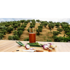 Wüsthof Amici Késbox 5 Késsel Bükk Bőr (710520) kés és bárd