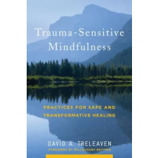 WW Norton &amp; Co Trauma-Sensitive Mindfulness | David A. Treleaven egyéb könyv