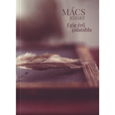 Xante Librarium Kft. Égig érő palatábla regény