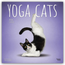  Yoga Cats - Katzen Yoga 2026 - 16-Monatskalender (Kalendář/Diář) naptár, kalendárium