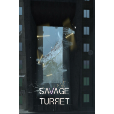 Yurii Selinnyi Savage Turret (PC - Steam elektronikus játék licensz) videójáték