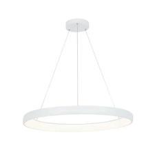 ZAMBELIS -2061 Fehér Színű Függeszték LED 60W IP20 világítás