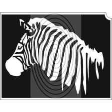Zebra (css_orias_0004) csillámtetoválás
