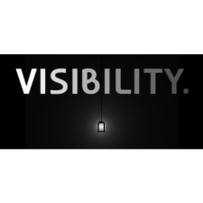 Zeritum Visibility (PC - Steam elektronikus játék licensz) videójáték