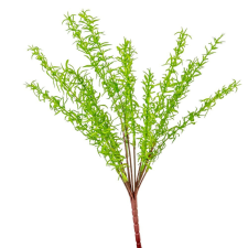  Zöld kakukfű bokor 13ágú M45cm 24db/# dekorációs kellék