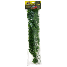ZOO MED Natural Bush Congo Ivy | Kongói borostyán - nagy kisállatfelszerelés