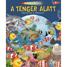  Zseblámpával - A tenger alatt gyermek- és ifjúsági könyv