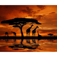  Zsiráf tapéta, sunset2, 300 x 200 cm tapéta, díszléc és más dekoráció