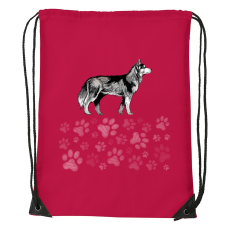 ZSONA DEKOR Husky - Sport táska piros v1