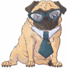 ZSONA DEKOR Pug Dog - Sport táska fehér kézitáska és bőrönd