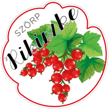 ZSONA DEKOR Szörp cimke Ribiszke 5 db/csomag információs címke