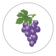 ZSONA DEKOR Vasalható Ovis jel csomag Szőlő mintával ajándéktárgy