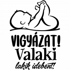 ZSONA DEKOR Vigyázat! Valaki lakik idebent! - Bevásárló táska fekete kézitáska és bőrönd