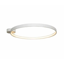 Zuma Line Zuma Circle LED mennyezeti lámpa fehér világítás