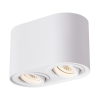 ZUMA Rondoc fehér mennyezeti spotlámpa (ZU-ACGU10-190-N) GU10 2 izzós IP20
